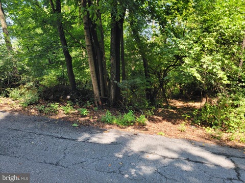 Vacant Land For Sale - 3950 Perkiomen Avenue<br/> Berks County, READING, PA 19606