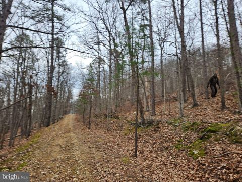 Vacant Land For Sale - Chapman Lane<br/> BOYCE, VA 22620