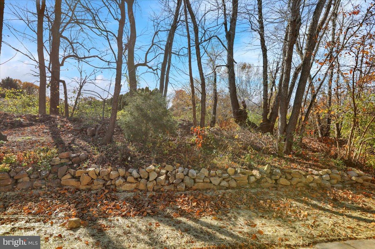 VLG AT MAIDENCREEK - Residential