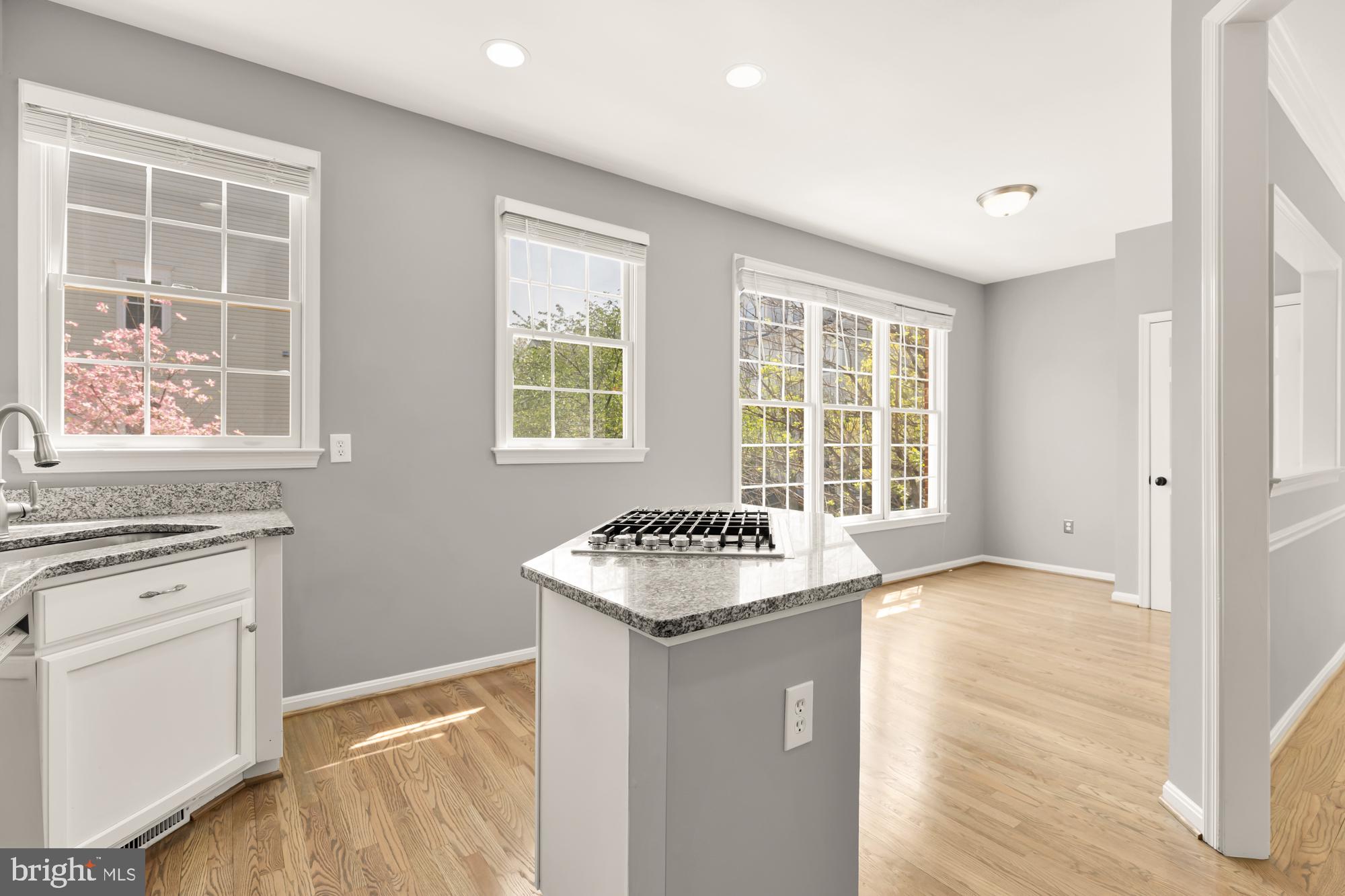 WINDY HILL AT LINCOLNIA - Residential