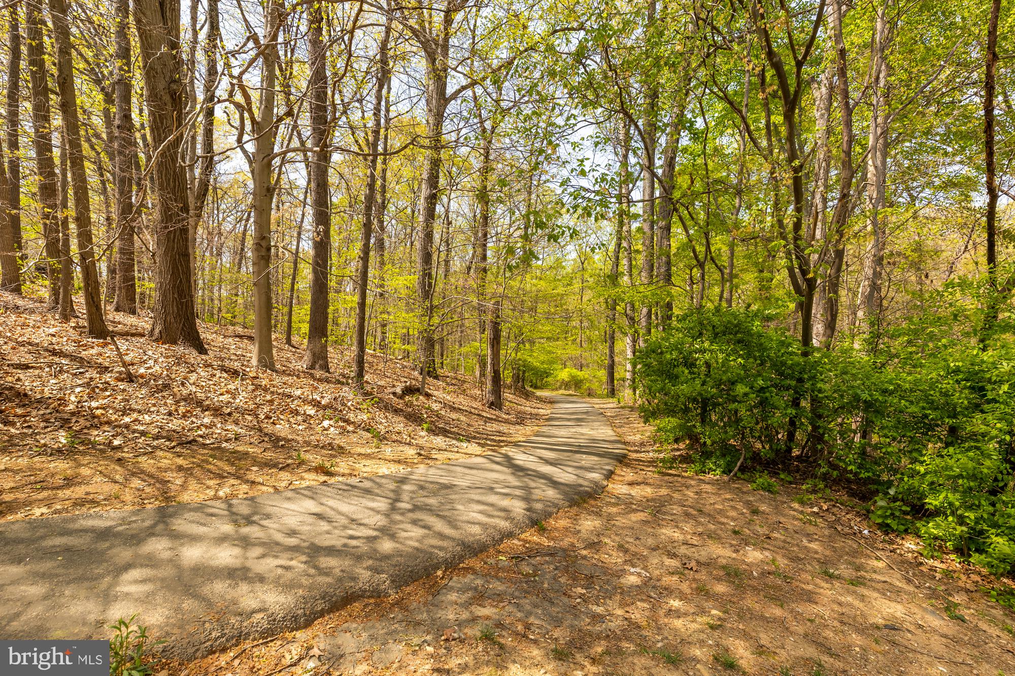 WINDY HILL AT LINCOLNIA - Residential