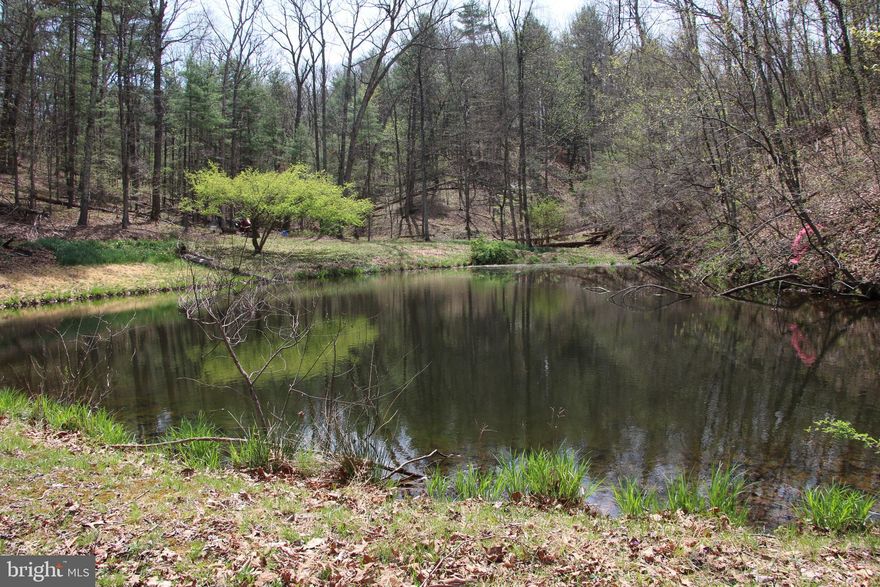 Own a piece of the beautiful Back Creek Heights community in Cross Junction. Located just minutes north of Winchester in the Dehaven part of the county. Access is secured via road frontage on Hodges Lane. Experience exciting hunting as many types of wildlife call this property home including deer, turkey, and many small game species. This tract is currently being used for recreation and hunting. A charming pond adds to the beauty and character of this land. Stellar views of the surrounding countryside are attainable with some tree clearing. This property features mildly sloping topography and a wet weather stream. Remote, fully wooded, and zoned Rural Areas (RA). No covenants, no restrictions, and no HOA! Enjoy hiking, camping, and recreation of all types on this land. A short drive from all the amenities and attractions Winchester has to offer. 

***Additional adjoining acreage available for purchase. See aerials for details.***