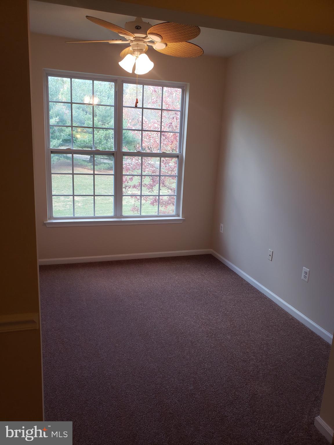 1203 KNOX 1203