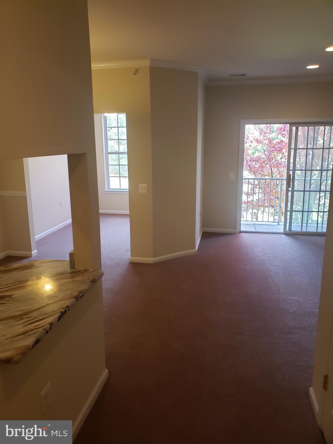 1203 KNOX 1203