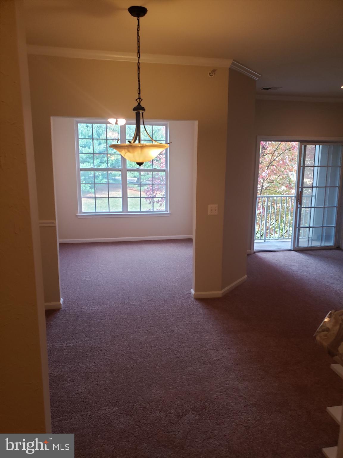 1203 KNOX 1203