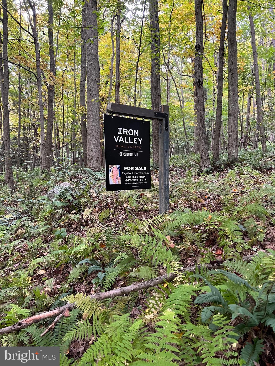 BEAR CREEK RETREAT - Land