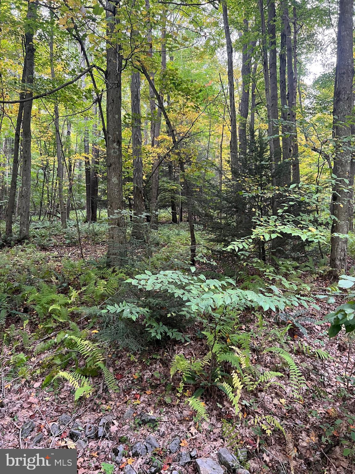 BEAR CREEK RETREAT - Land