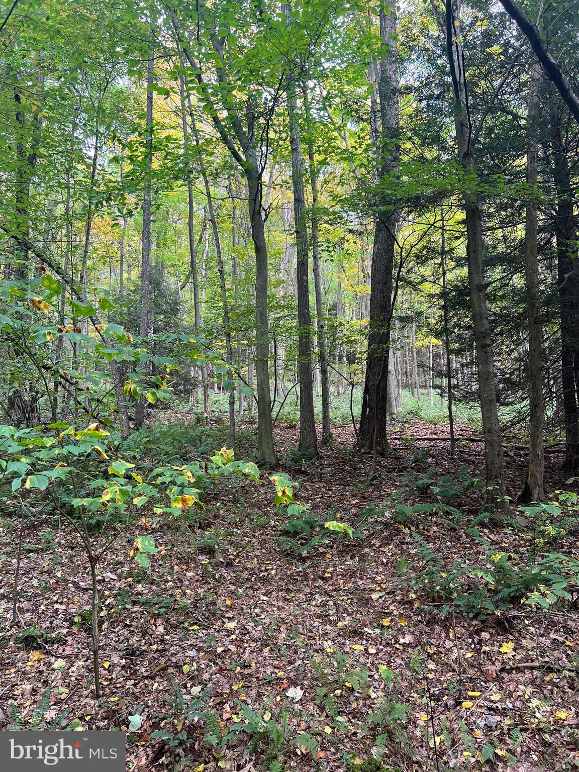 BEAR CREEK RETREAT - Land