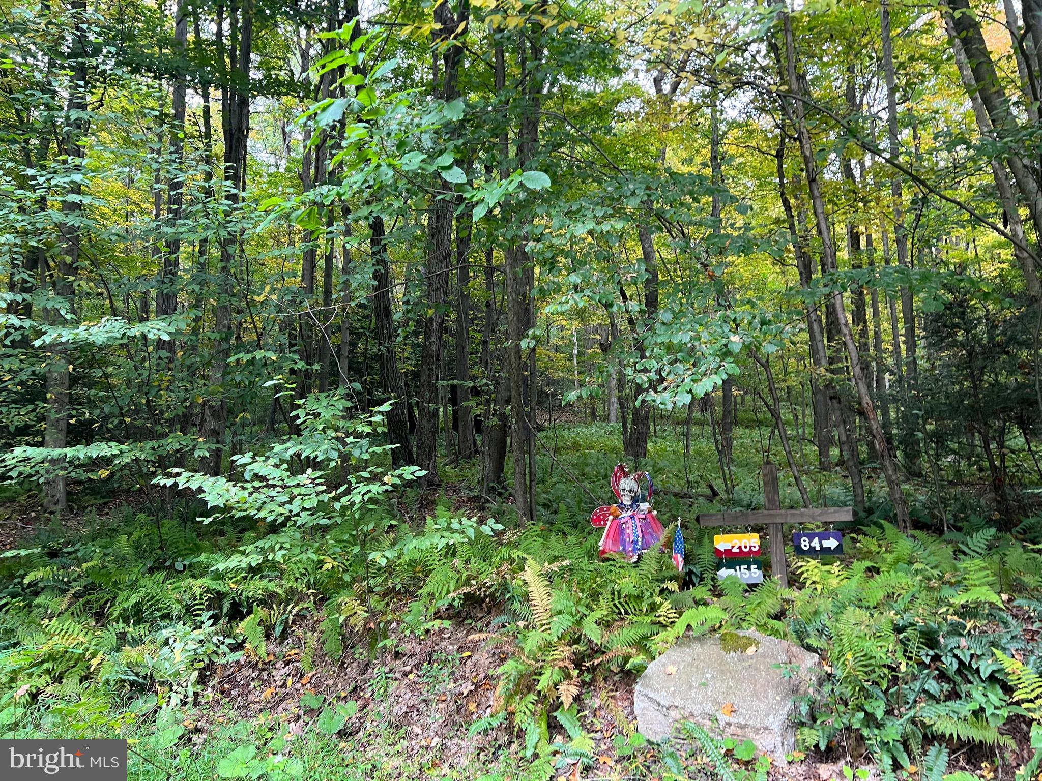 BEAR CREEK RETREAT - Land