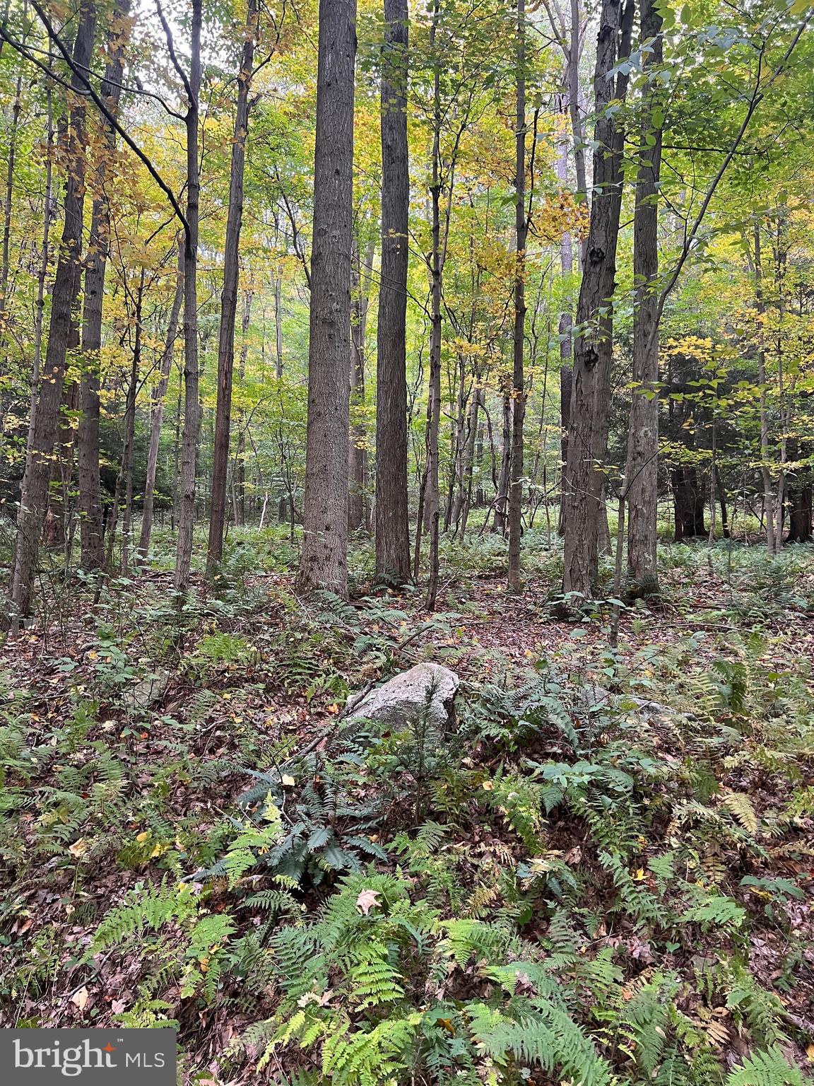 BEAR CREEK RETREAT - Land