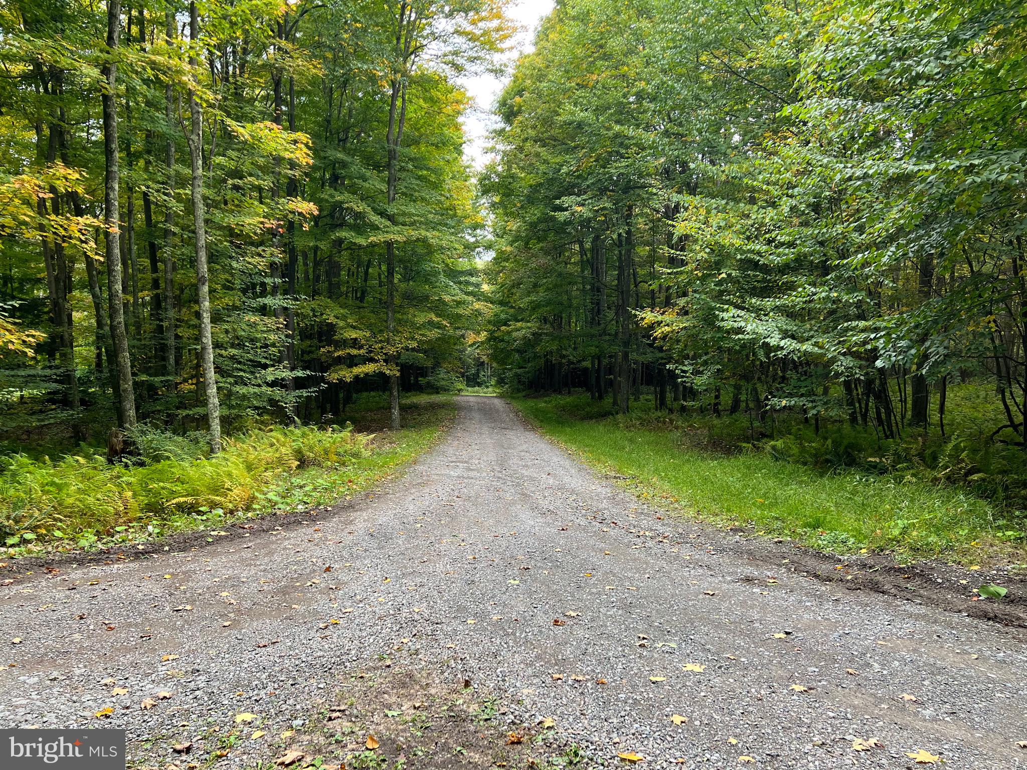 BEAR CREEK RETREAT - Land