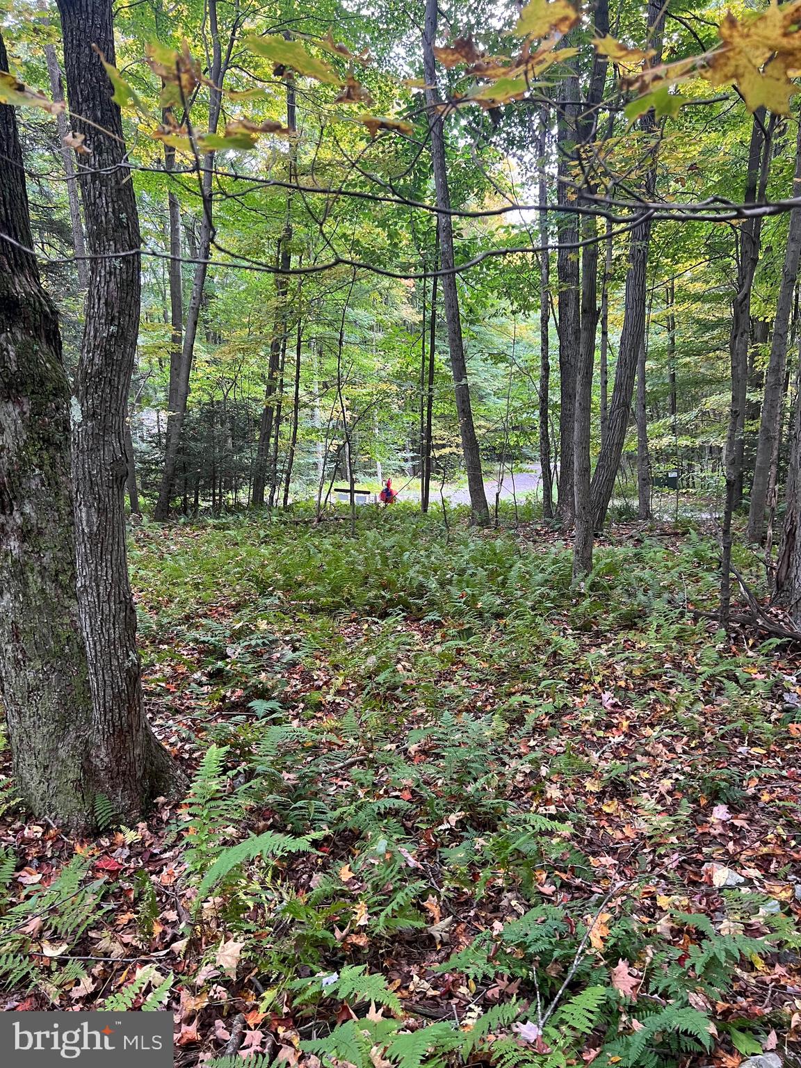 BEAR CREEK RETREAT - Land