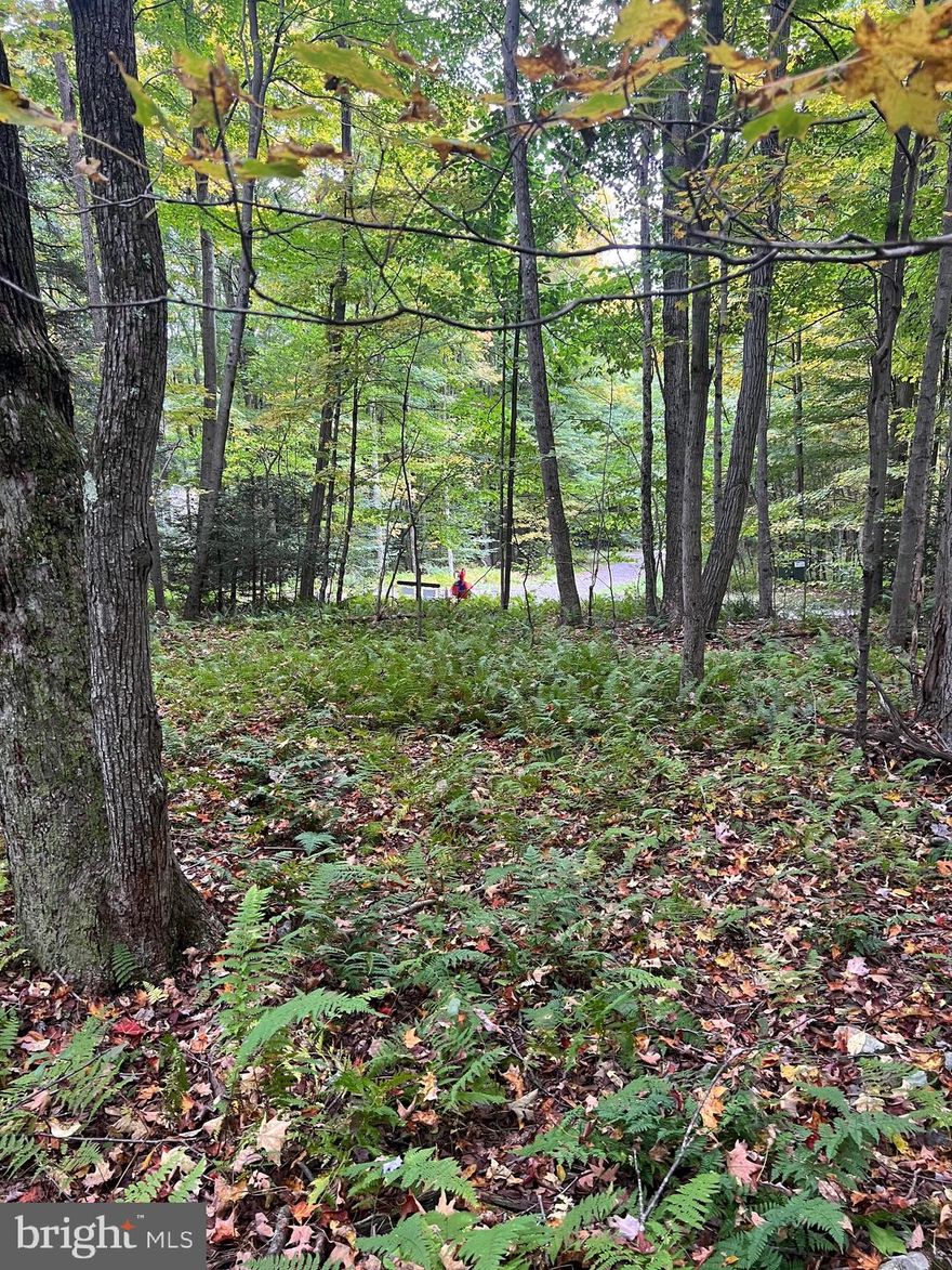 What a beautiful piece of property! Set in the small Bear Creek Forest Community. Minutes from Wisp and all the adventures that await you in the Deep Creek area. Lot is untouched and the perfect place to build your dream home or just have a place to camp or hunt. Plenty of wildlife in the area. Absolutely beautiful and peaceful!