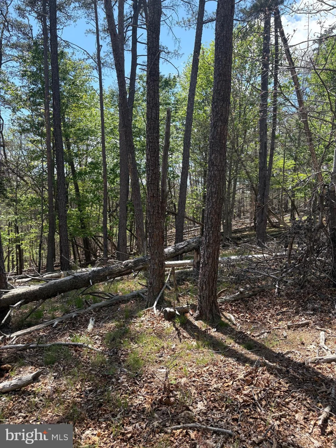 Additional image 10 of Big Sky, Berkeley Springs, WV 25411