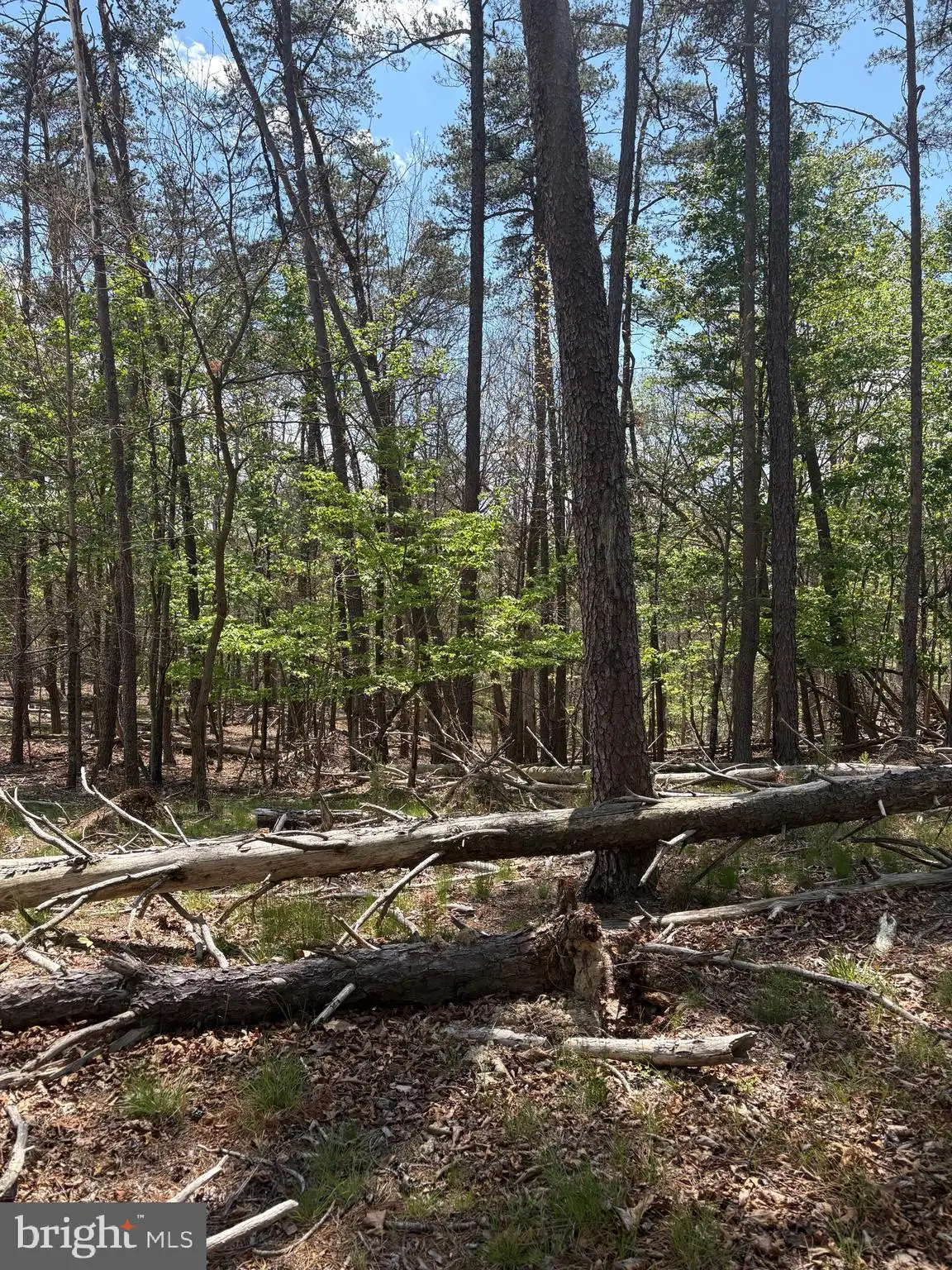 Additional image 9 of Big Sky, Berkeley Springs, WV 25411