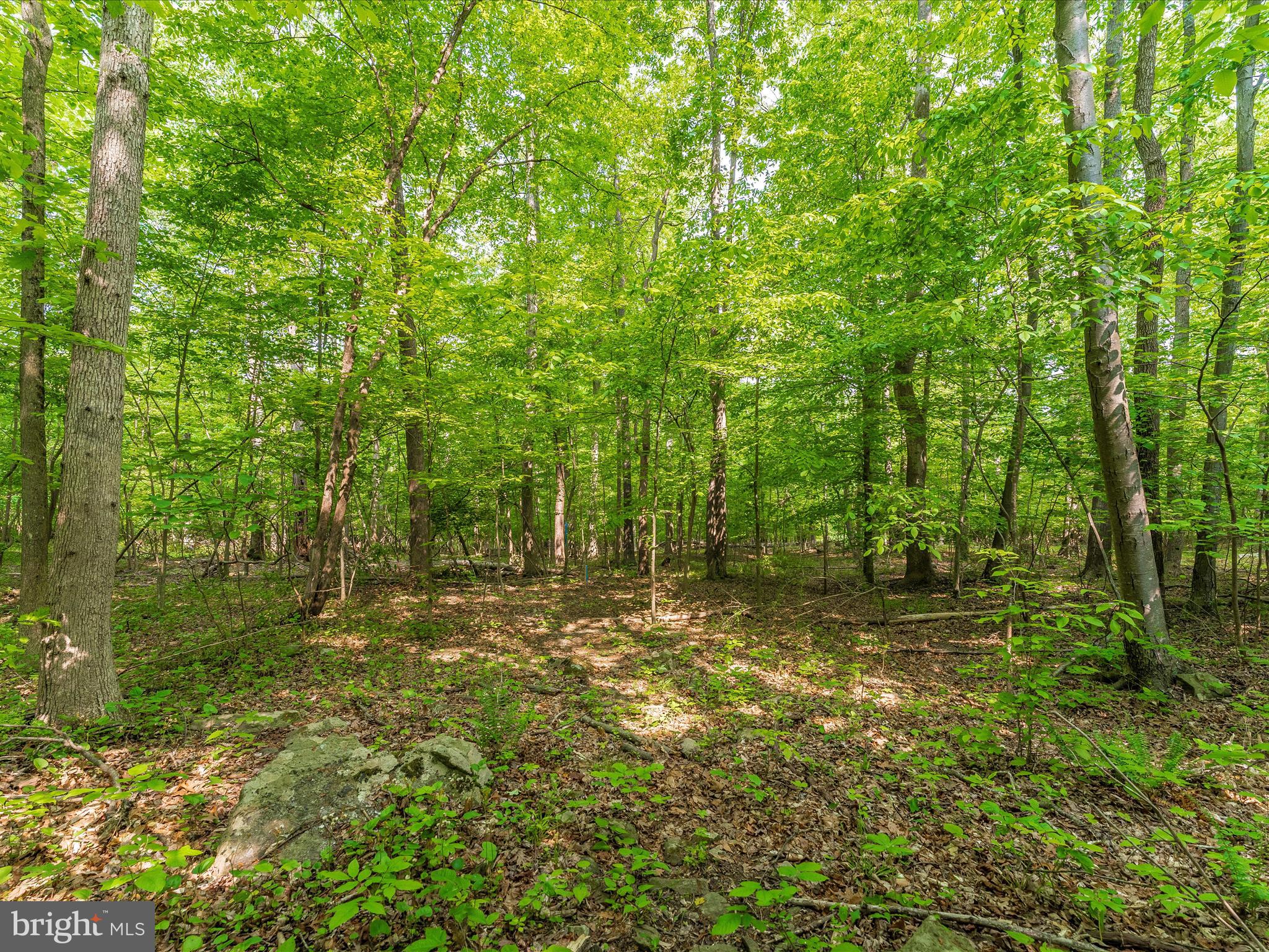 Nestled in charming Sabillasville, Maryland, this enchanting property encompasses 6.7 acres of idyllic woodlands, adorned by the gentle meandering of Friends Creek at the rear. It's a captivating canvas for realizing your dream home or a tranquil weekend retreat. The natural terrain of the lot offers a subtle incline, providing the possibility for a lower-level walkout design. Perc approval was secured in March 2023 for a 3-bedroom dwelling, buyer responsible for installation of the well. To facilitate construction on this lot, the buyer should verify all necessary county requirements. Situated just moments away from Rt 550 and Thurmont, this location offers convenience without sacrificing the serene ambiance.