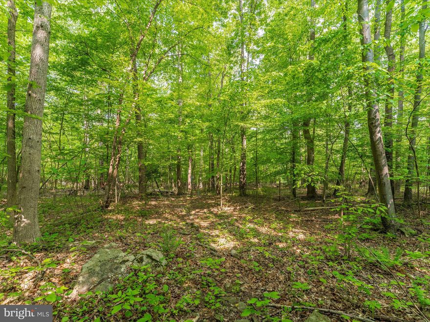 Nestled in charming Sabillasville, Maryland, this enchanting property encompasses 6.7 acres of idyllic woodlands, adorned by the gentle meandering of Friends Creek at the rear. It's a captivating canvas for realizing your dream home or a tranquil weekend retreat. The natural terrain of the lot offers a subtle incline, providing the possibility for a lower-level walkout design. Perc approval was secured in March 2023 for a 3-bedroom dwelling, buyer responsible for installation of the well. To facilitate construction on this lot, the buyer should verify all necessary county requirements. Situated just moments away from Rt 550 and Thurmont, this location offers convenience without sacrificing the serene ambiance.