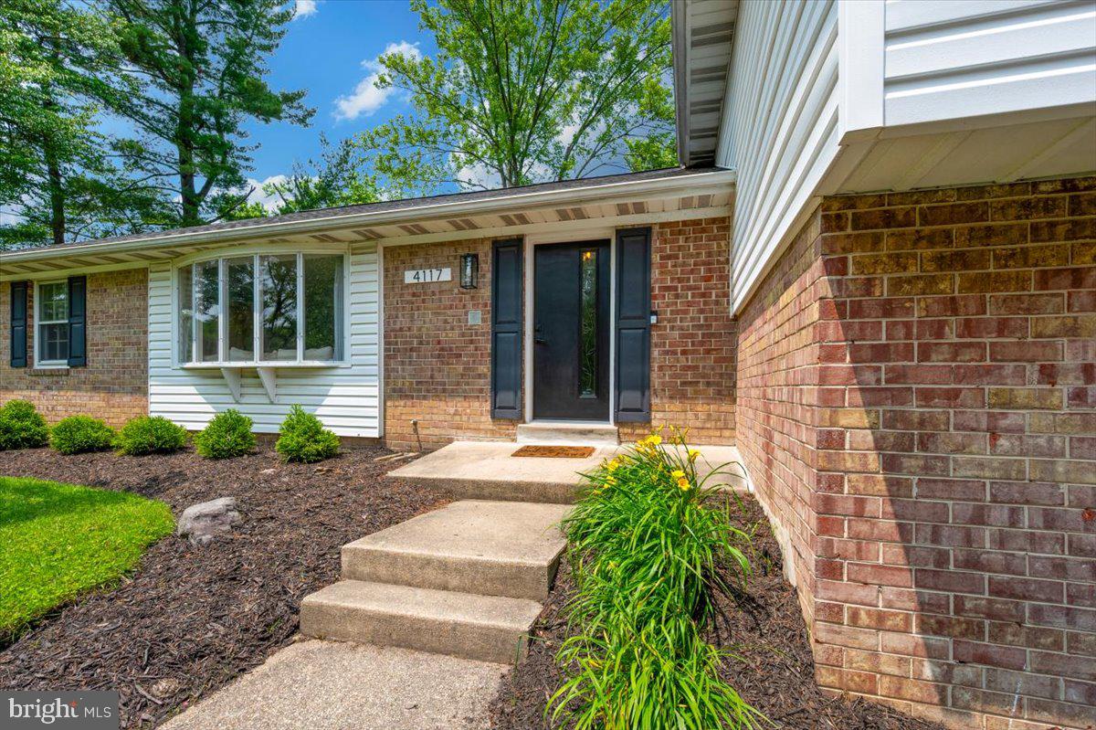 4117 CHARLEY FOREST STREET