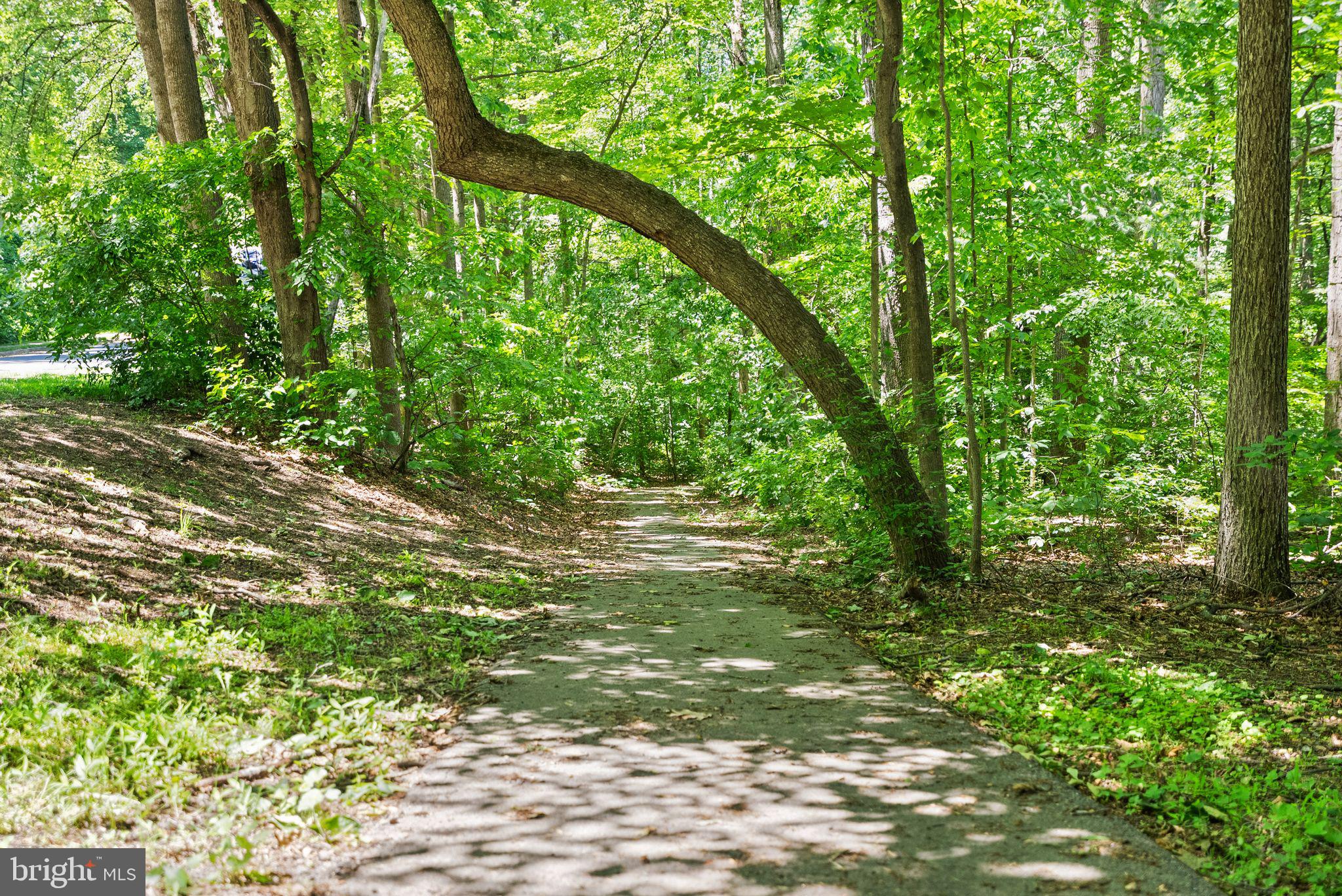 NEWINGTON FOREST - Residential