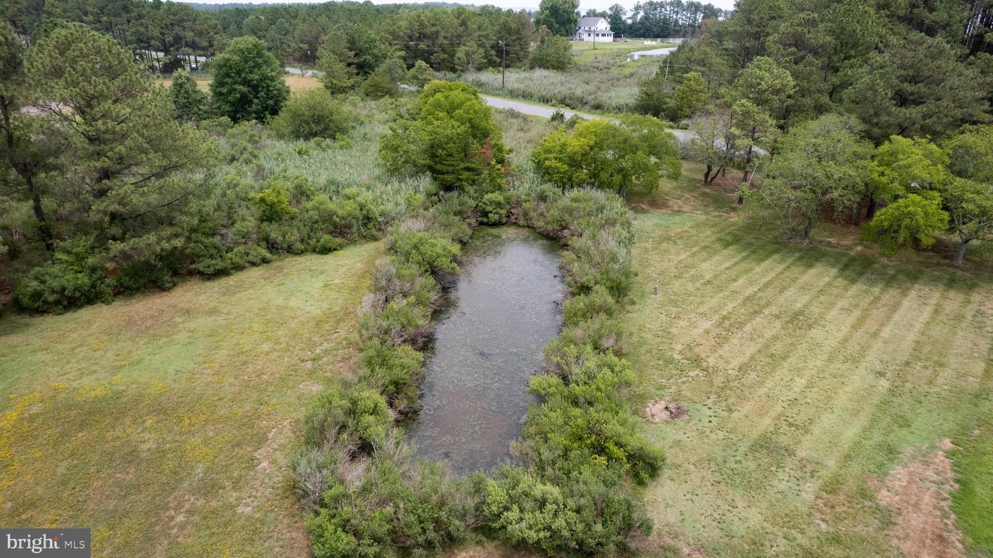 6046 TODDS POINT ROAD