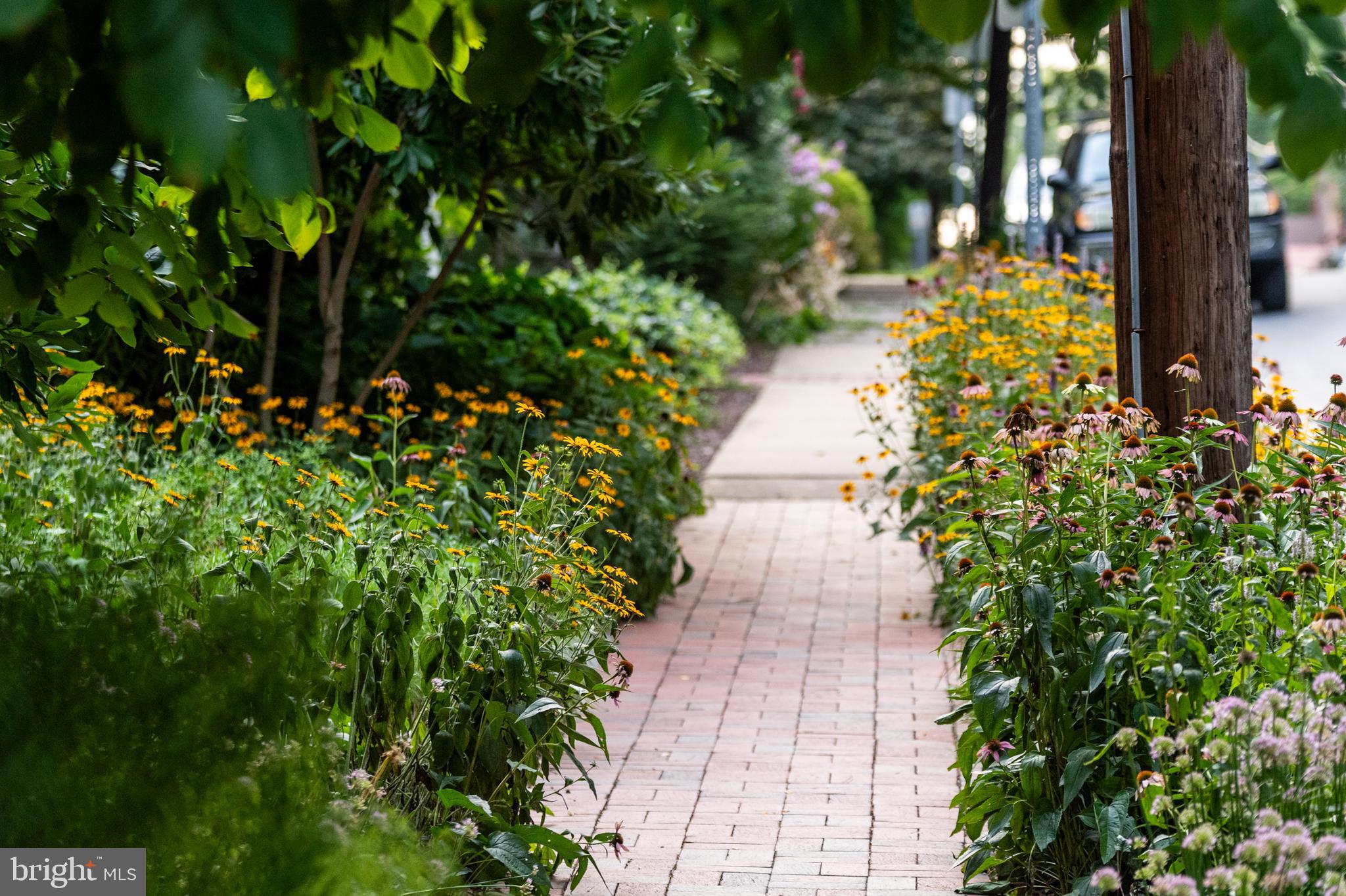 DOYLESTOWN BORO - Residential