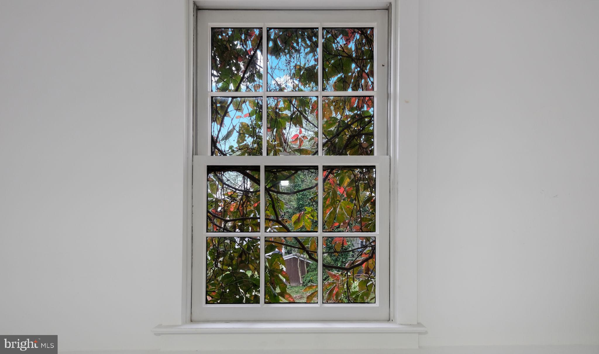 DOYLESTOWN BORO - Residential