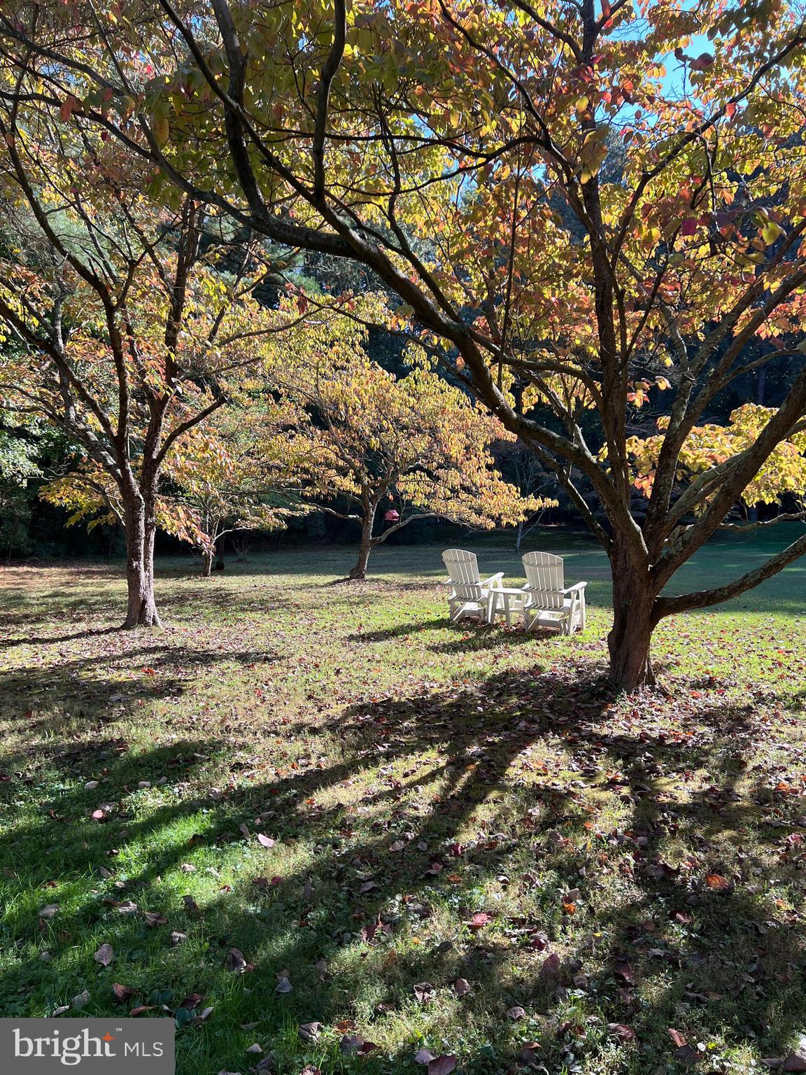 ROCK HALL - Residential