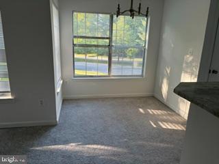 1013 SUMMERGLENN COURT 7-203