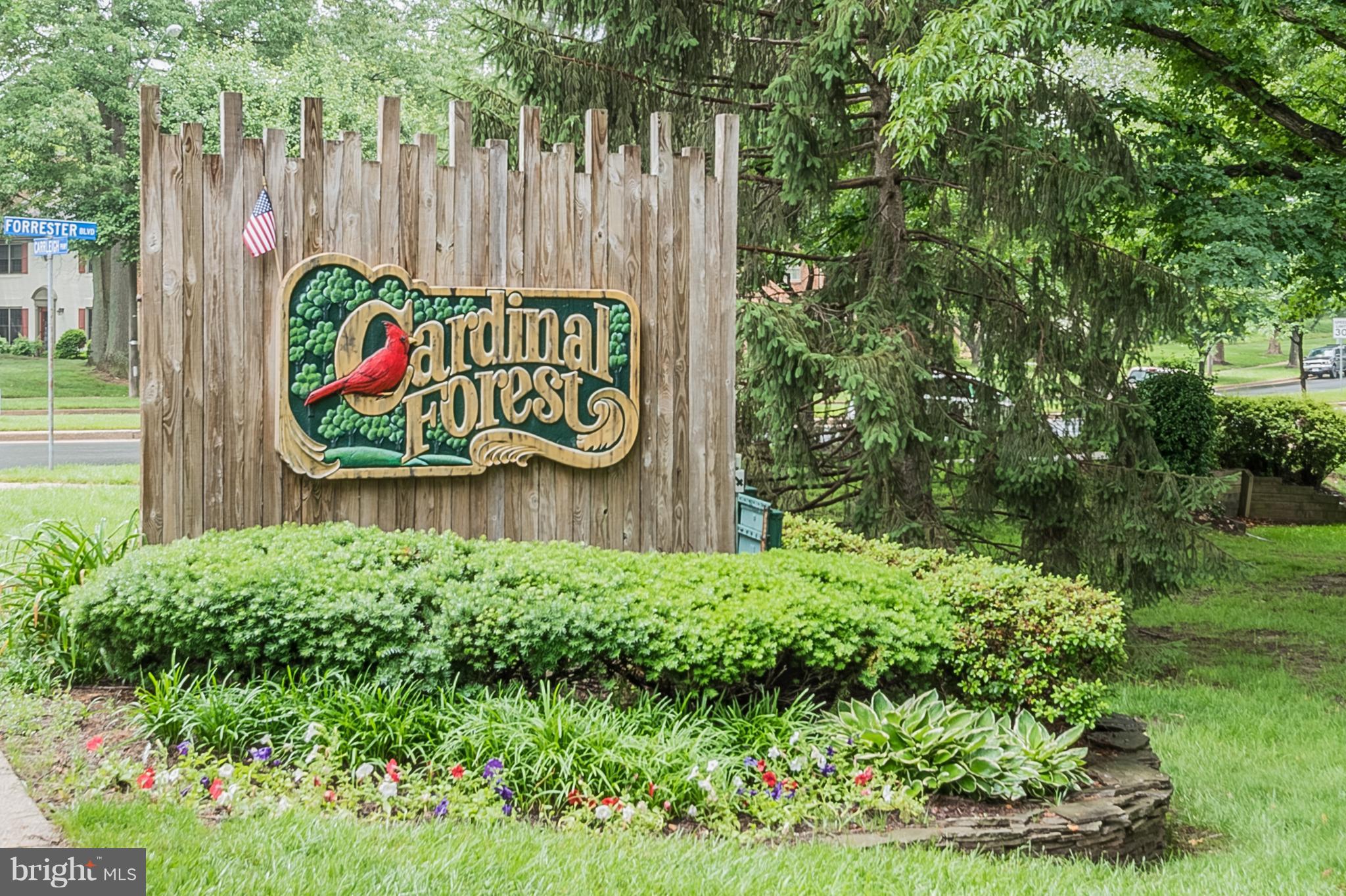 CARDINAL FOREST - Residential