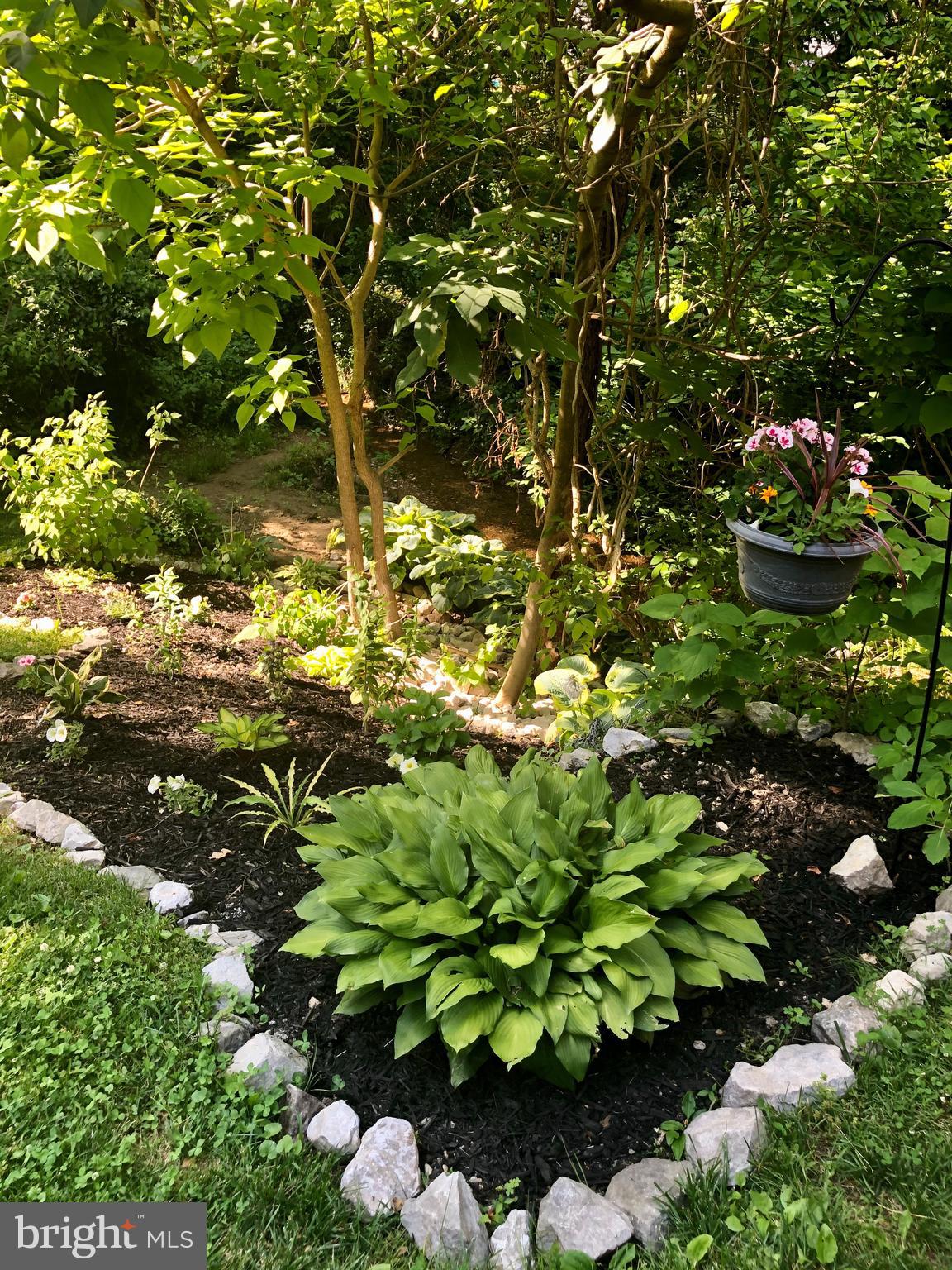 COLONIAL HILLS - Residential