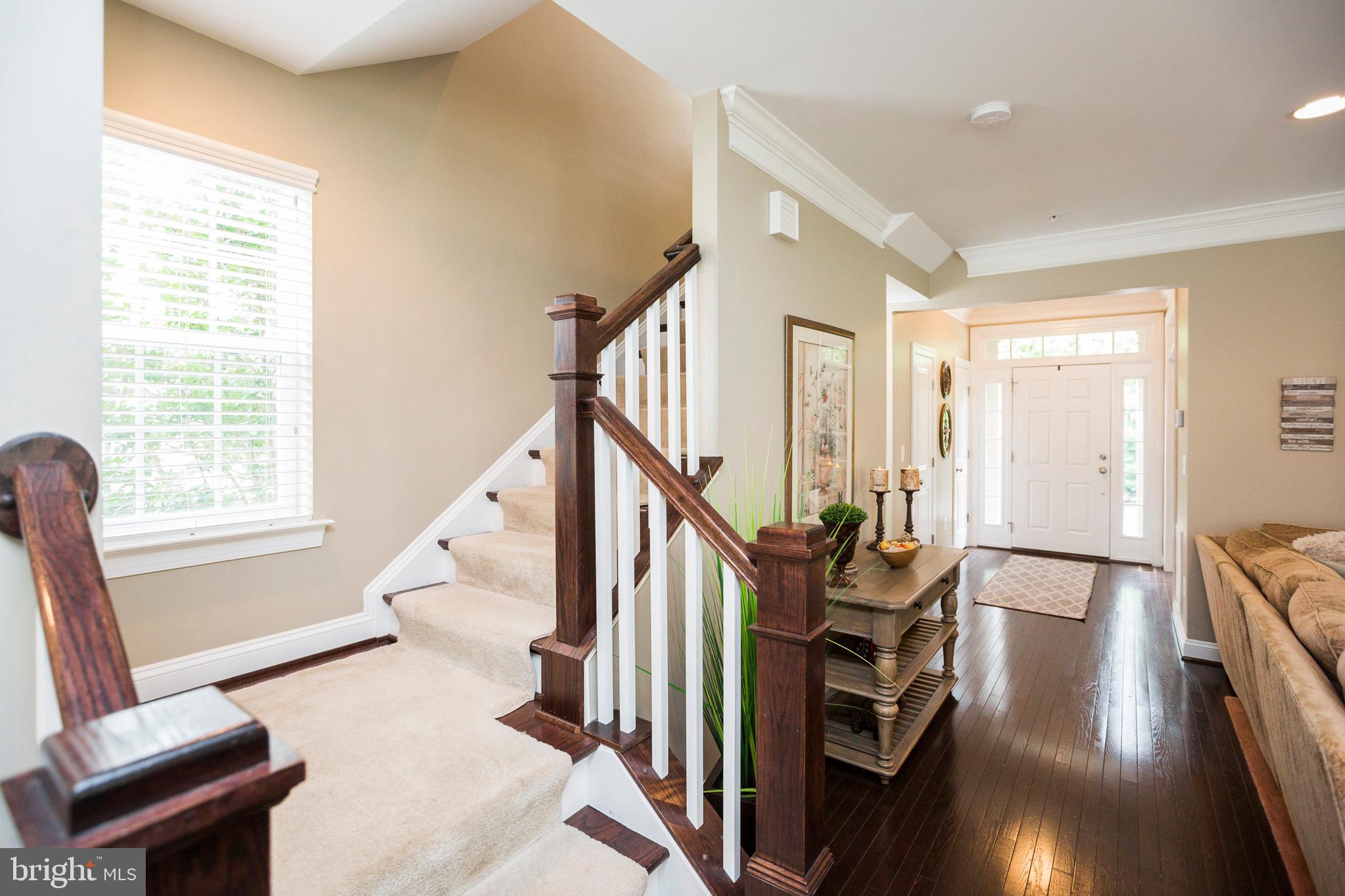 MAPLE LAWN - Residential