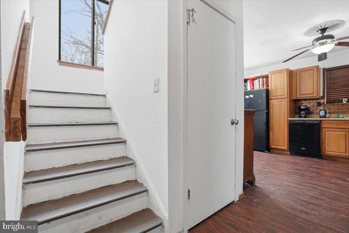 MILL POND (SAW CREEK) - Residential