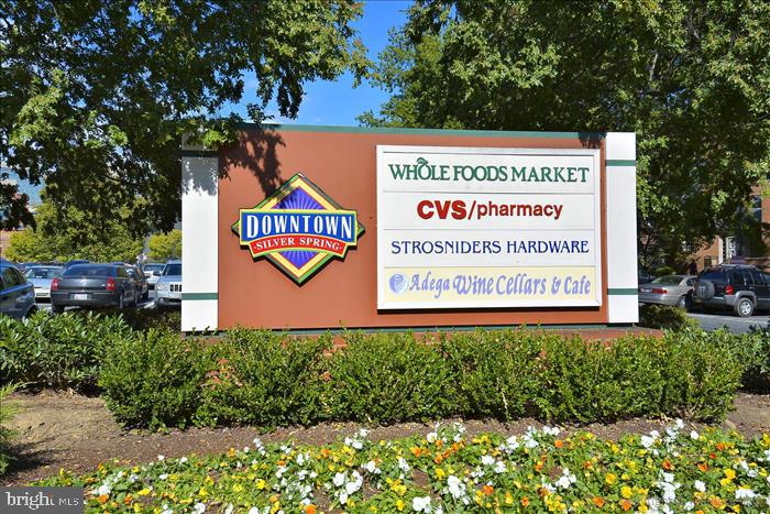 TAKOMA PARK - Residential