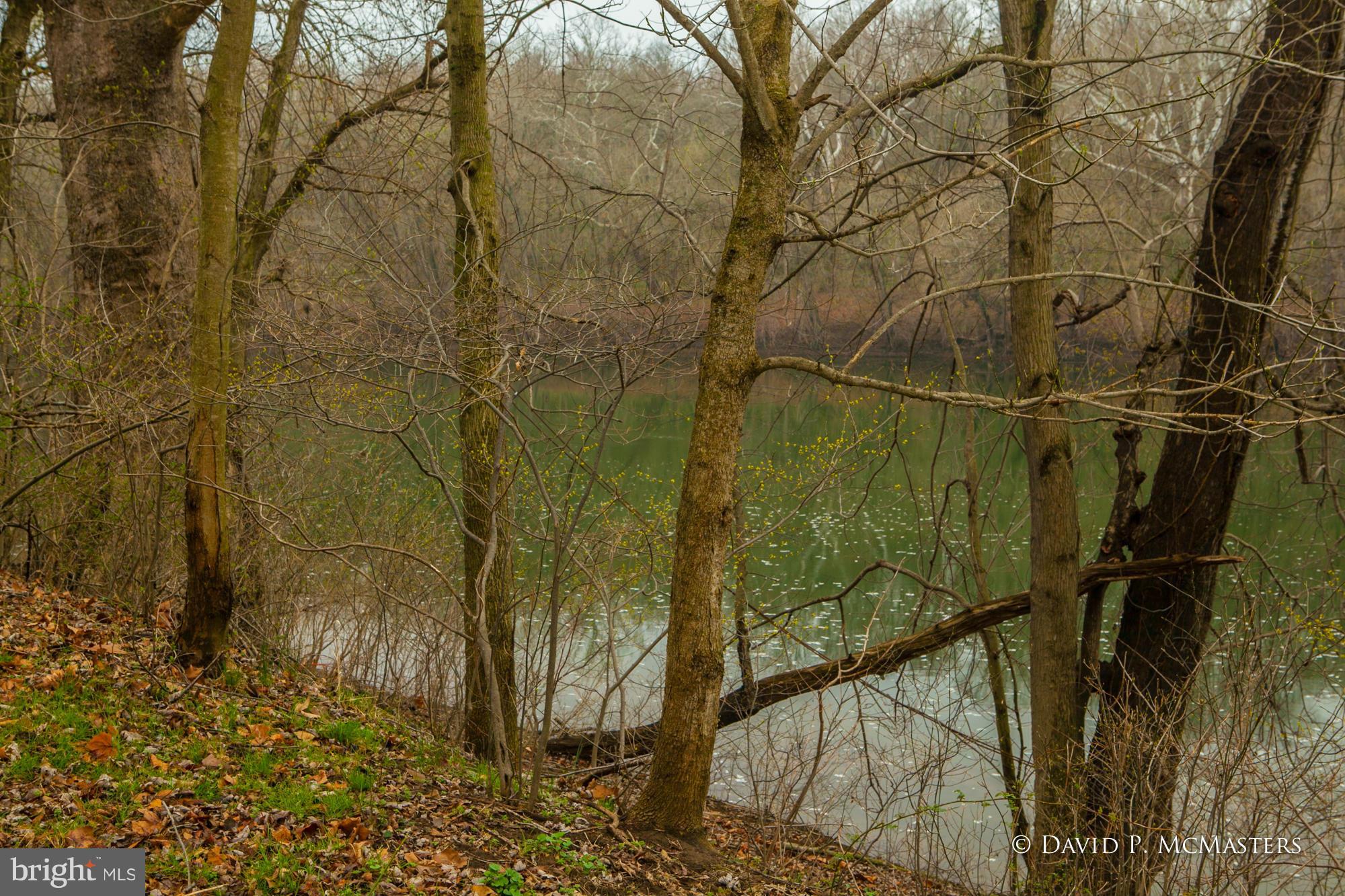 ORCHARD ON THE POTOMAC - Residential