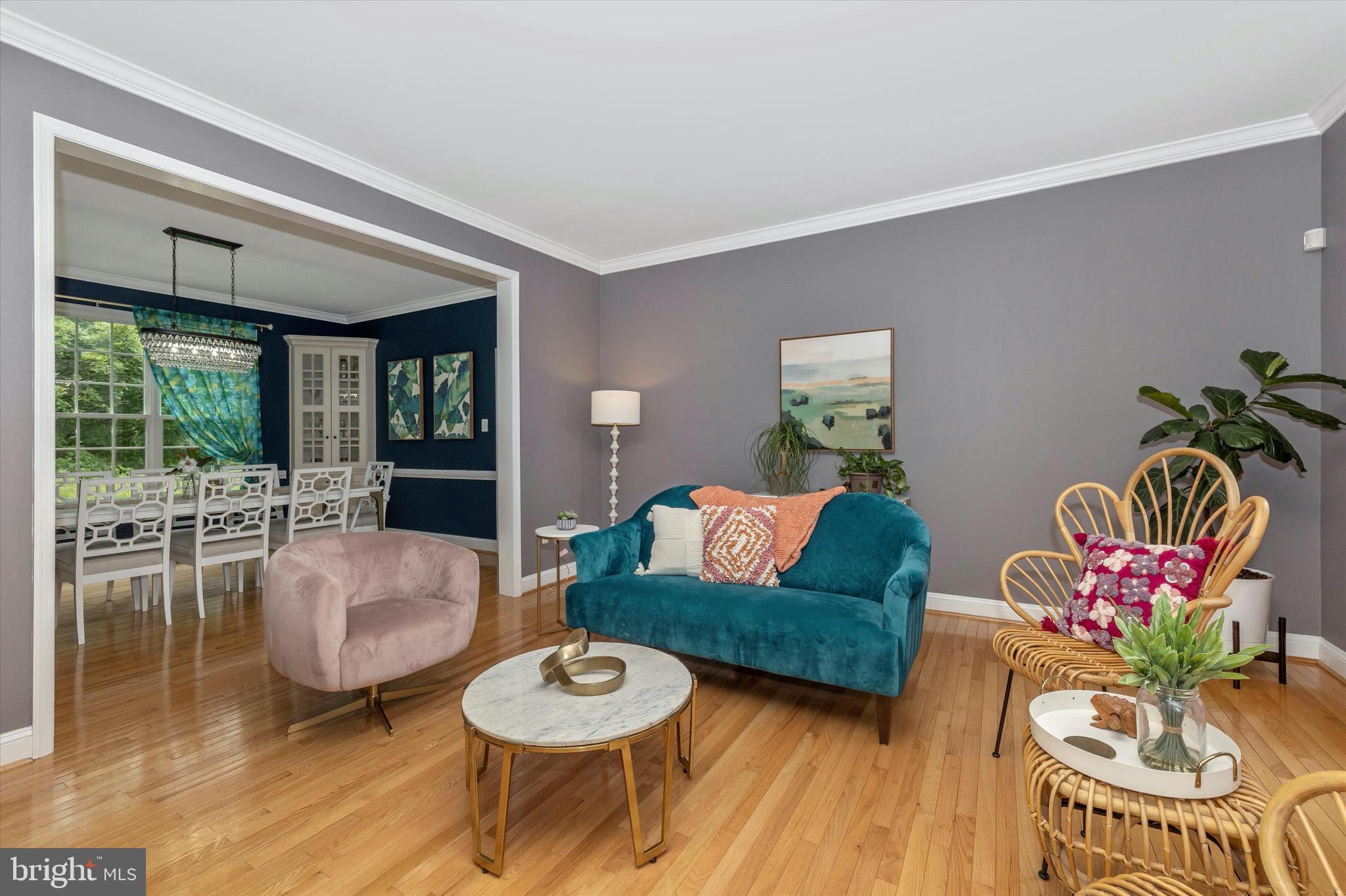 THE PADDOCKS - Residential