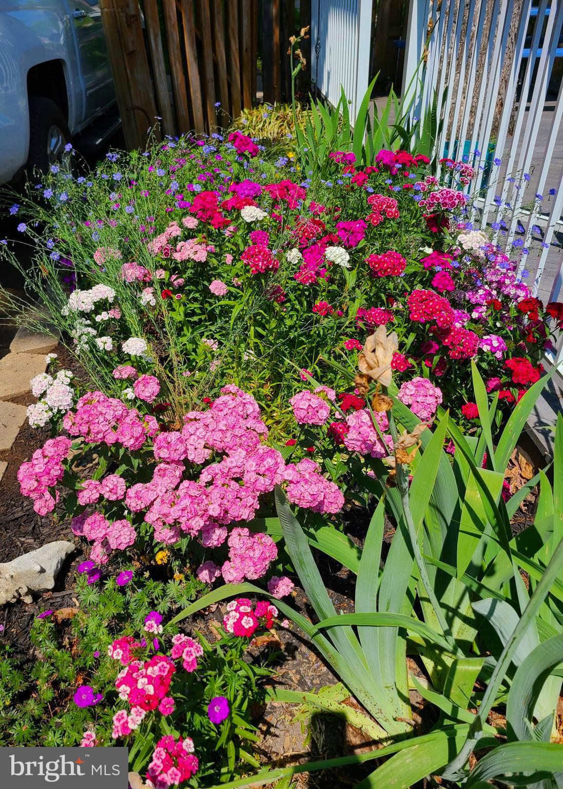 FULLERTON - Residential