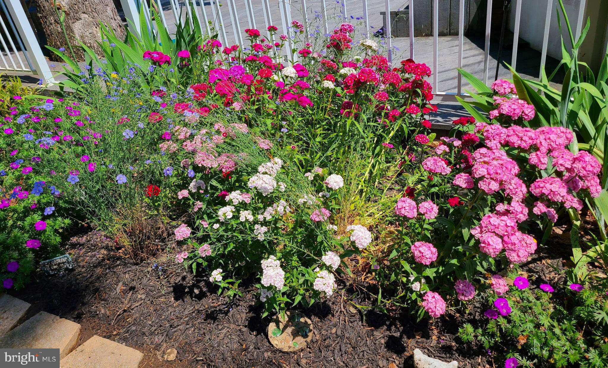 FULLERTON - Residential