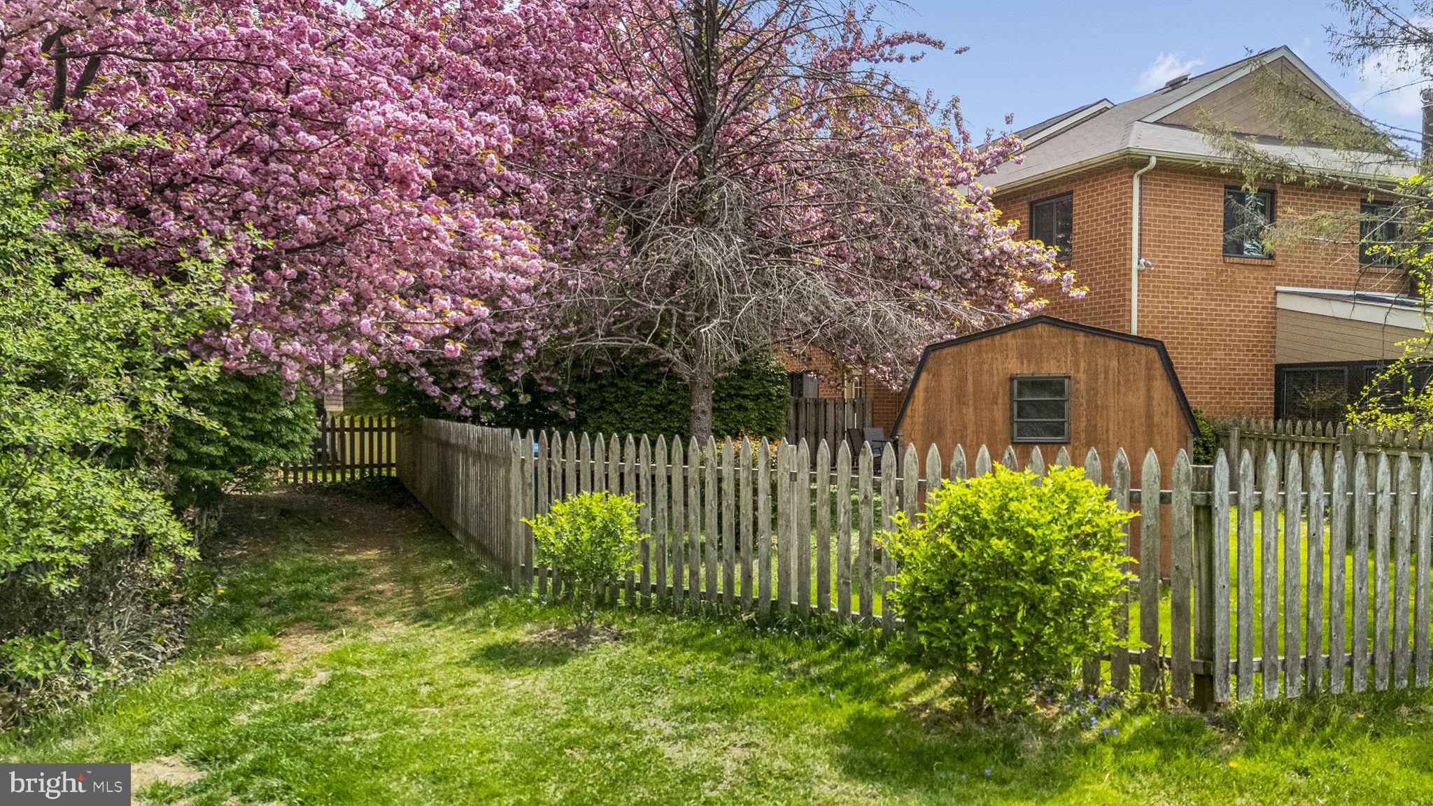 RHONDDA - Residential Lease