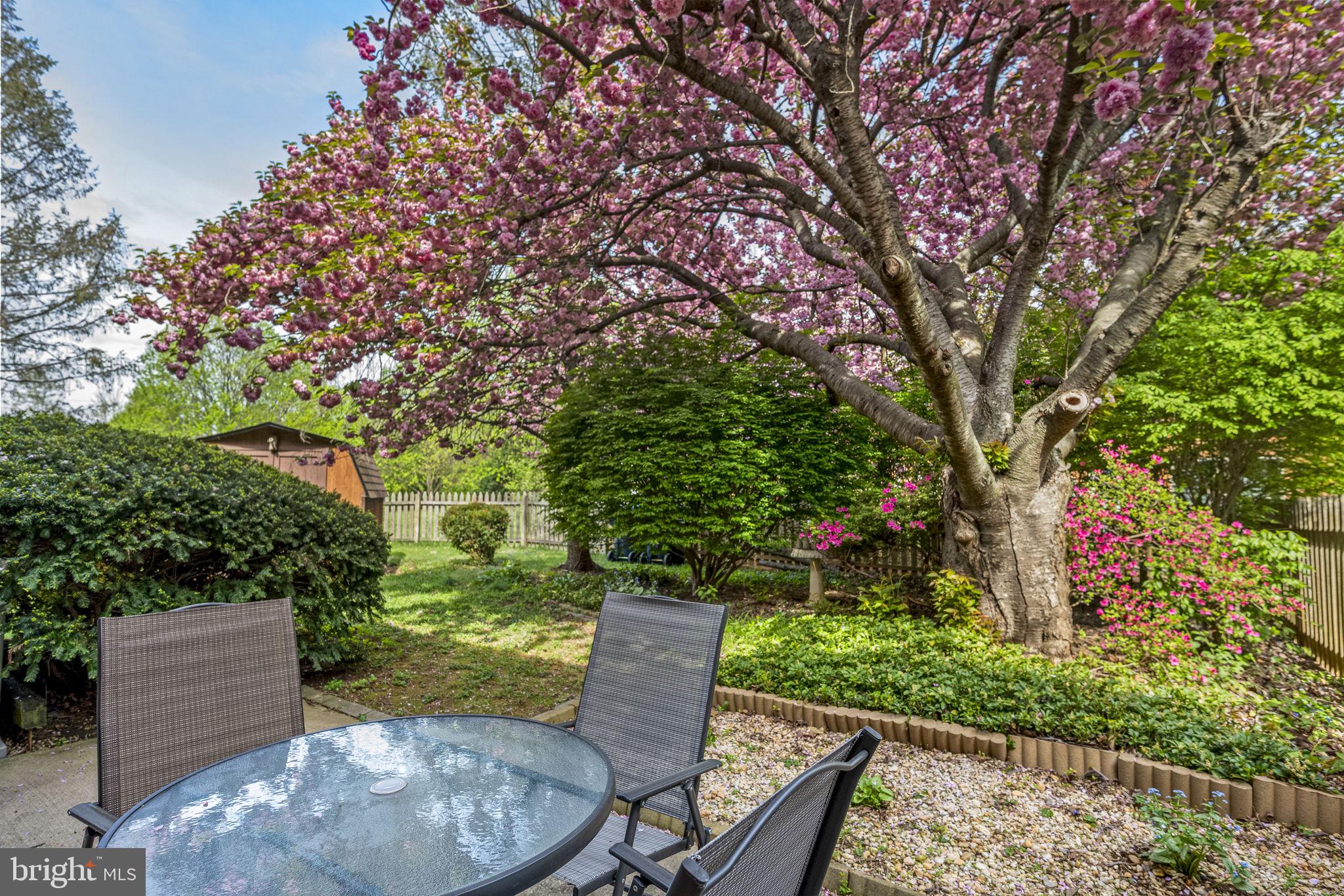 RHONDDA - Residential Lease