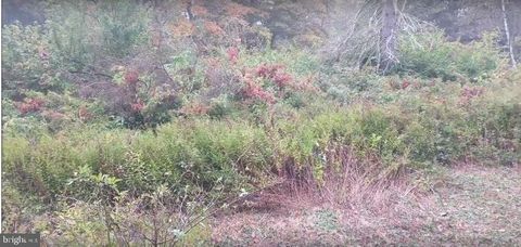 Photo of 940 Pa, POCONO LAKE, PA 18347 (MLS # PAMR2005716)