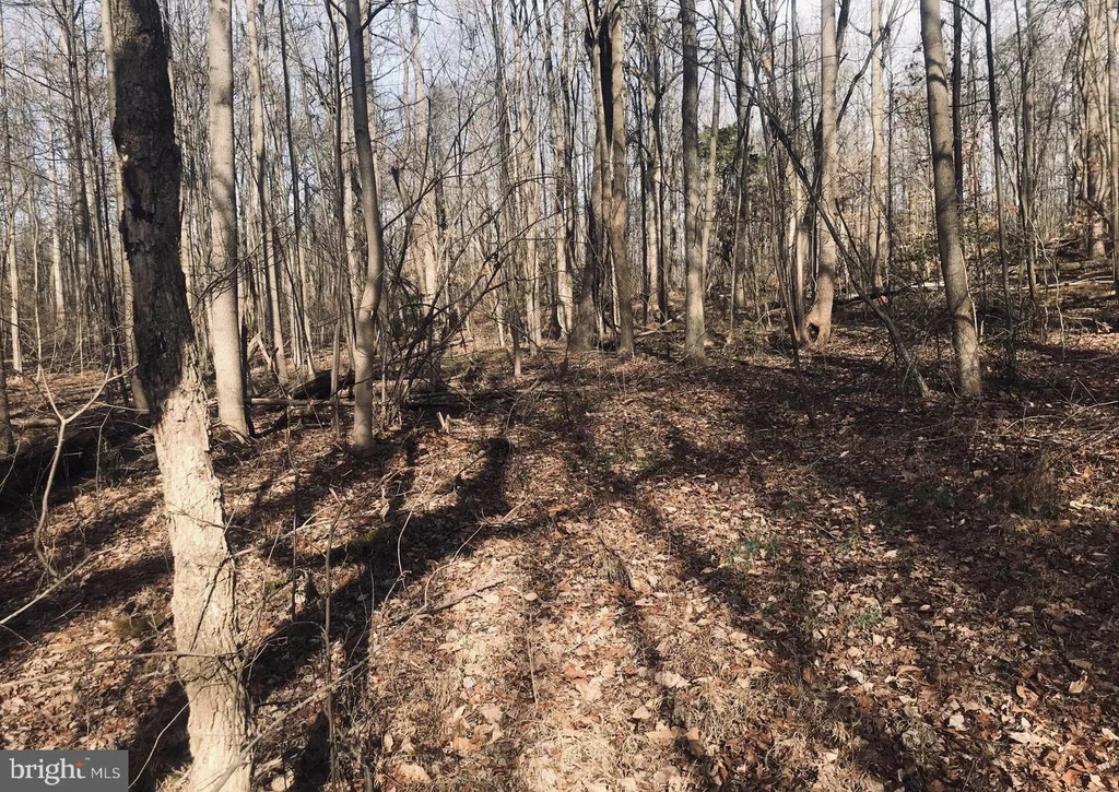 Van Brady Road, Upper Marlboro, MD 20772