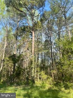 186 PATRICK HENRY DRIVE