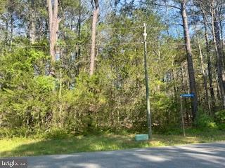 186 PATRICK HENRY DRIVE