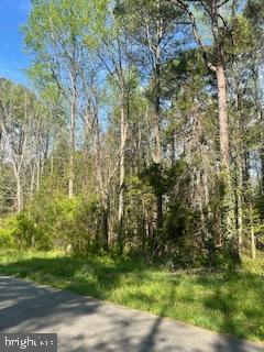 186 PATRICK HENRY DRIVE