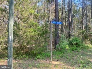 186 PATRICK HENRY DRIVE