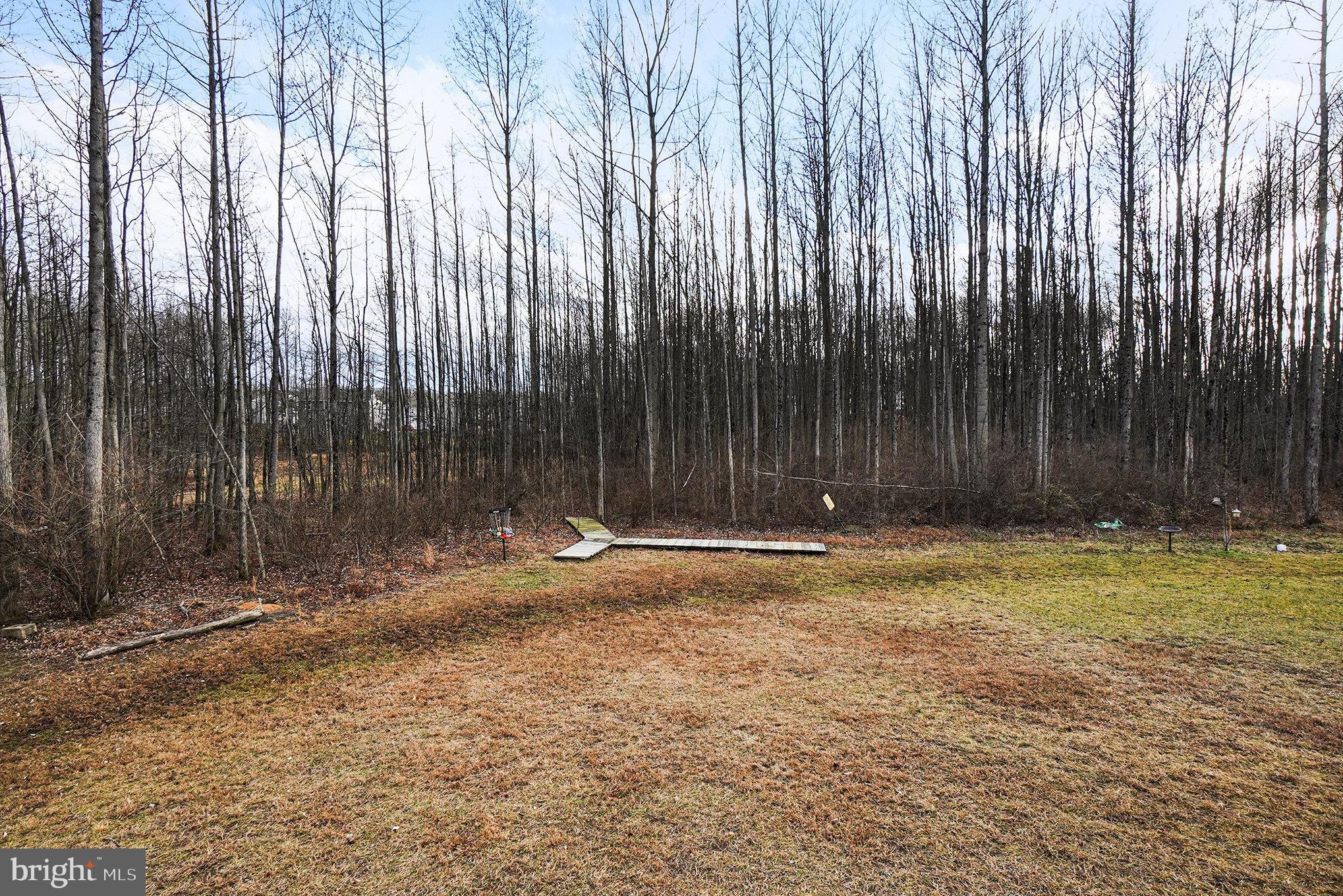 RIDGELY FOREST - Residential