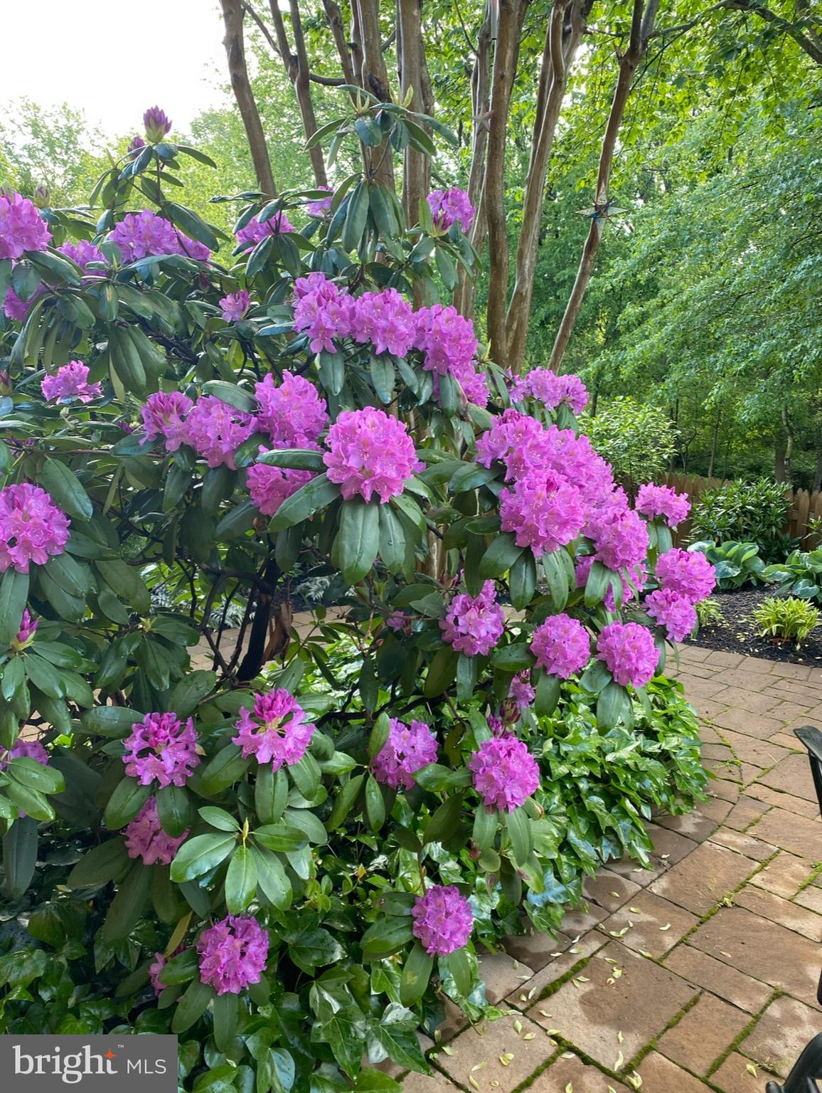 DOMINION VALLEY COUNTRY CLUB - Residential