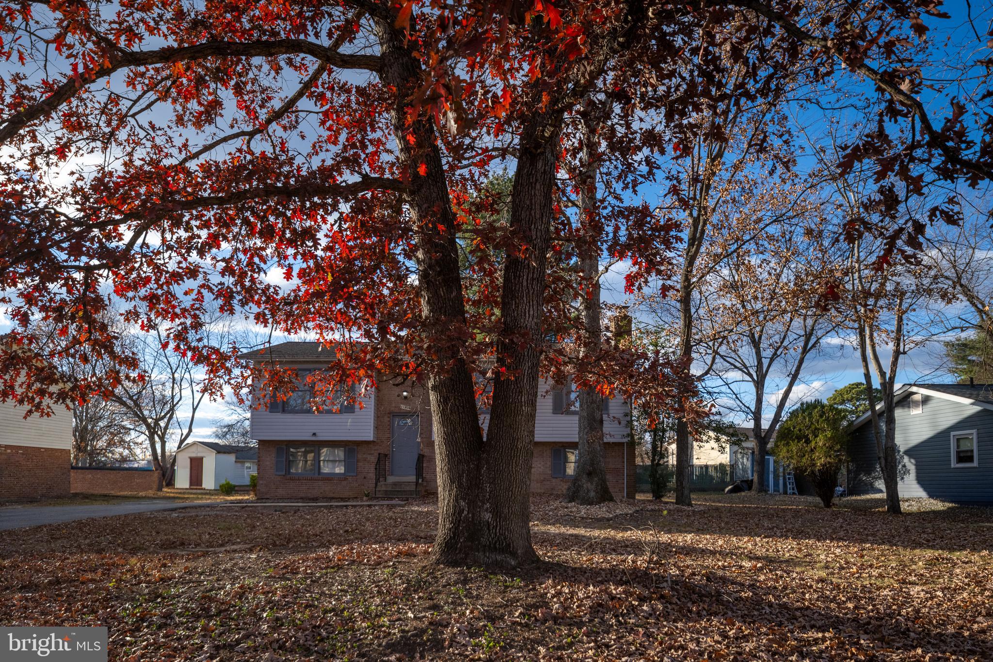 SHERATON HILLS EAST - Residential