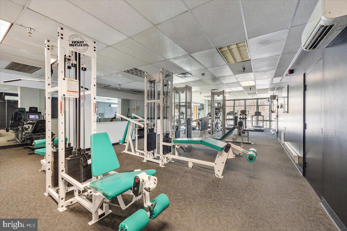 WYNNEFIELD HEIGHTS - Residential