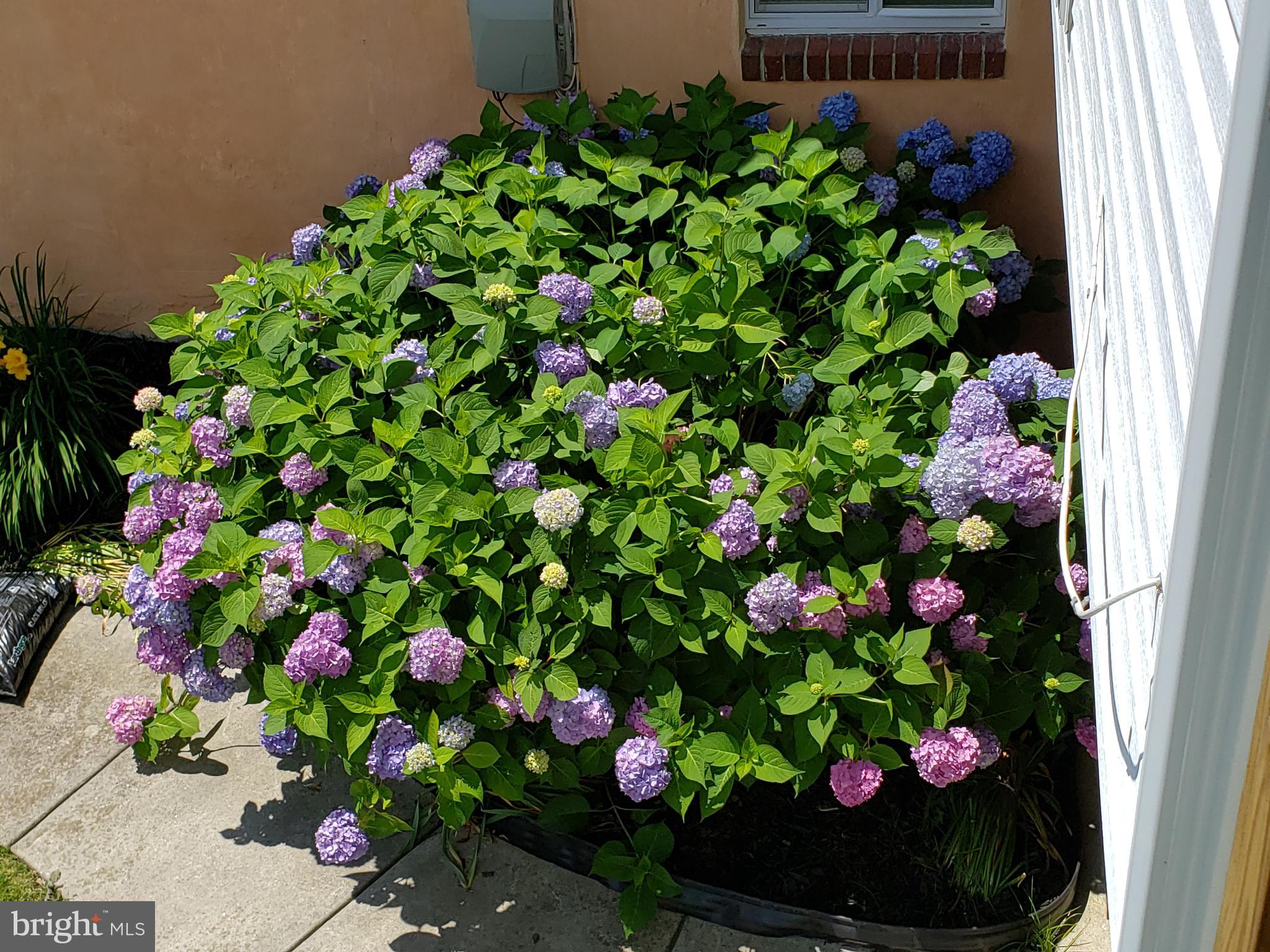 GREENRIDGE - Residential Lease